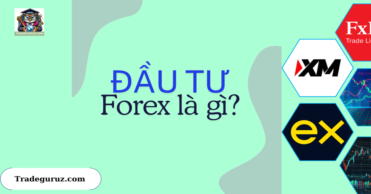 Đầu tue forex là gì?